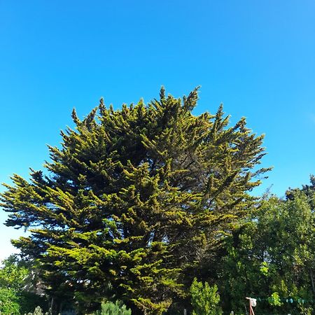 Apartament Le Stud' A Saint Pierre D'Oleron ! Pokój zdjęcie